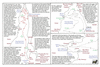 lap57 castries_thumb.gif